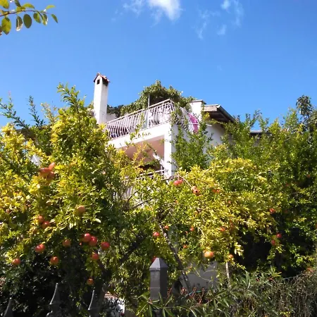 Guest house Fanny Sinemorets Sinemoretz